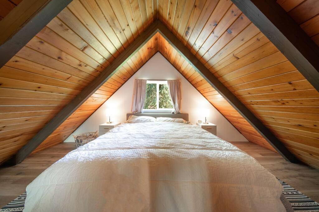 R & R Chalet At Mt. Rainier Ashford Kültér fotó